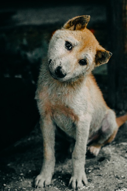 Brett Wilbourn tweet media