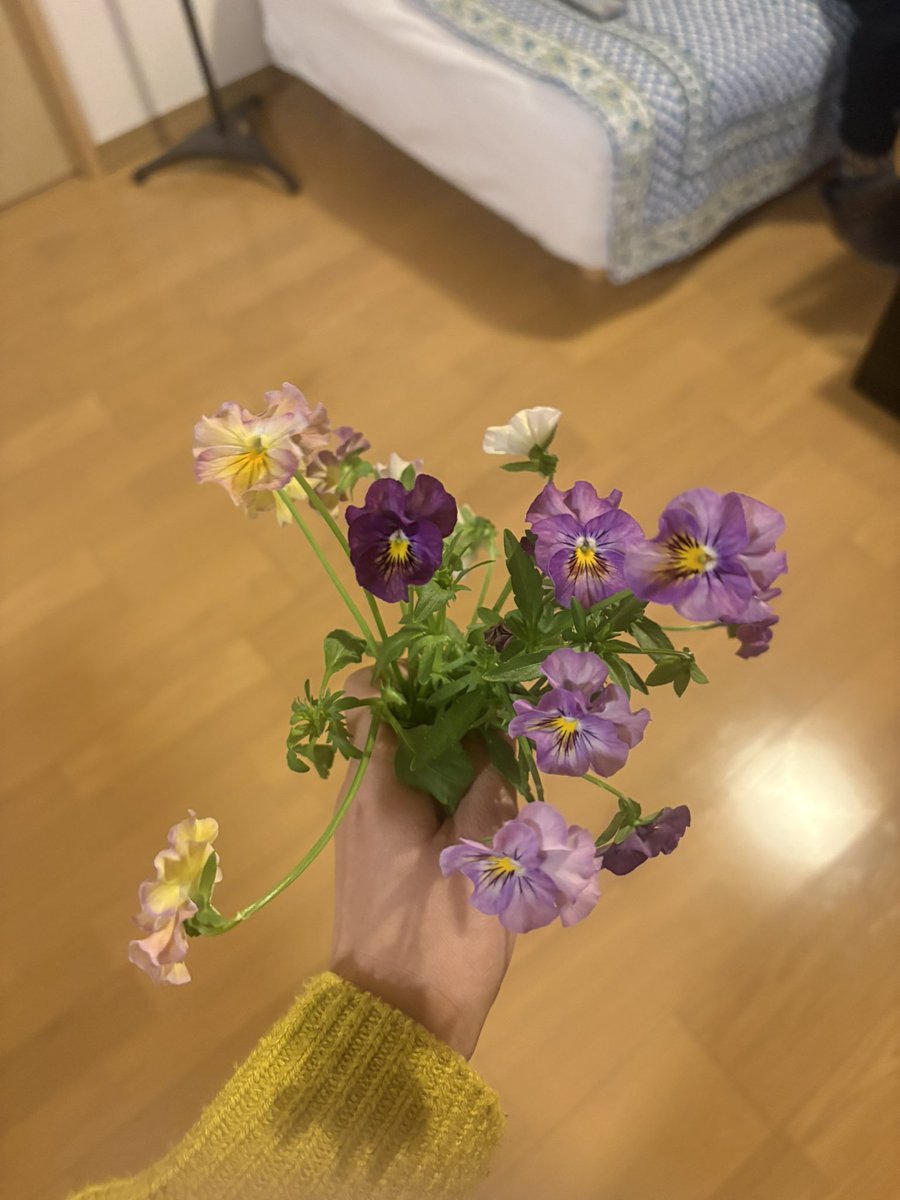 あ、あと先日誕生日で、またレベルアップしました🥰写真は我が家でぽこぽこ咲くパンジーです。
