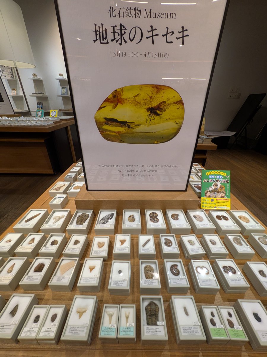 株式会社東京サイエンス tweet media