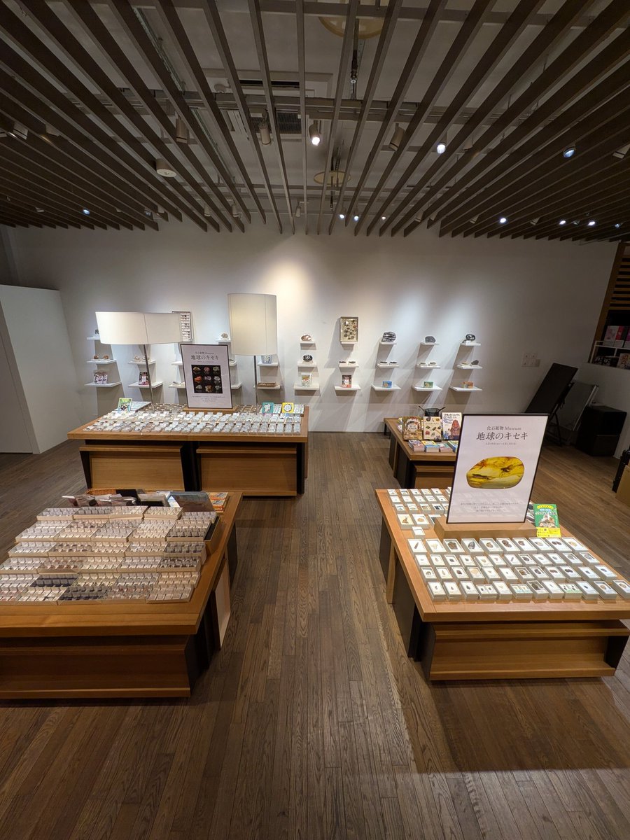 株式会社東京サイエンス tweet media