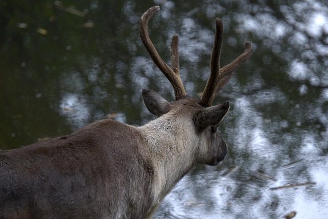 Bill Estrada tweet media