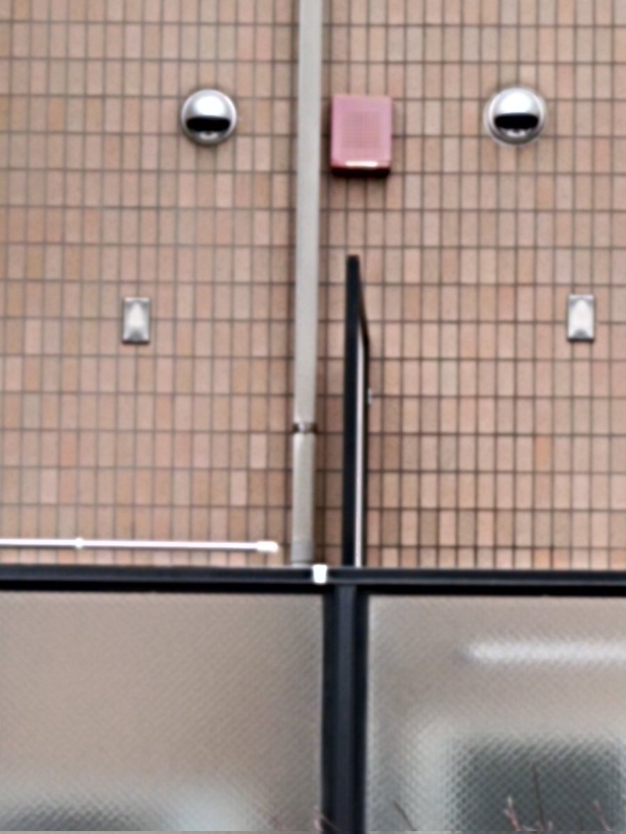 Flatfish tweet media