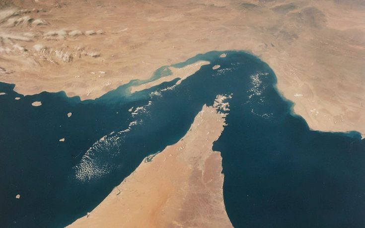 Whale View Chart tweet media