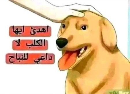 𝑭𝑨𝑻𝑶𝑴𝒀 🍓𝜗𝜚 tweet media