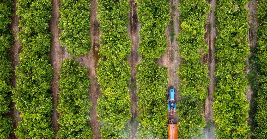 Produce Plus tweet media