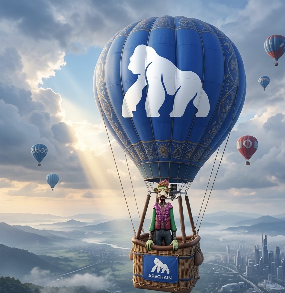 Amp 🇵🇷 tweet media