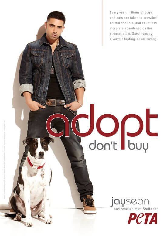 PETA India tweet media