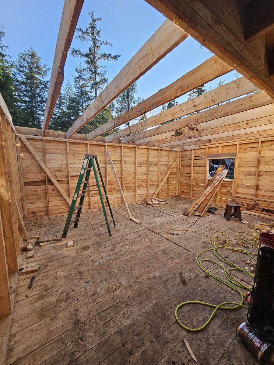 Caleb Kitson tweet media