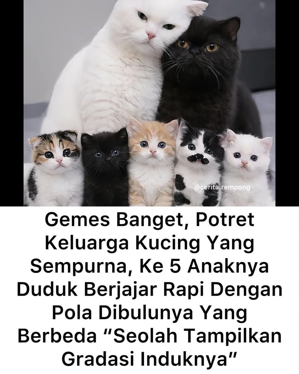 Augudzs (@augudzs) on Twitter photo 