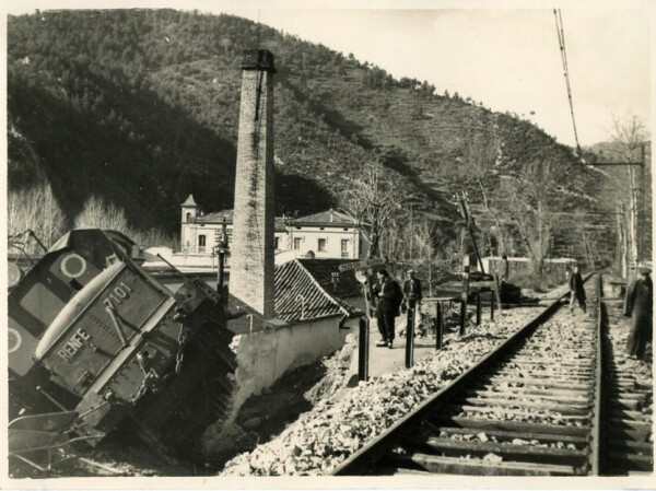 ASFA (bot) tweet media