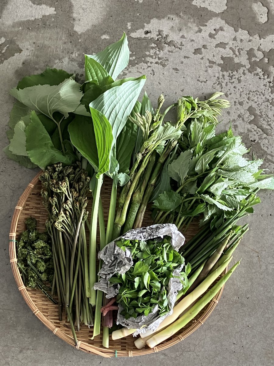 うかたま tweet media