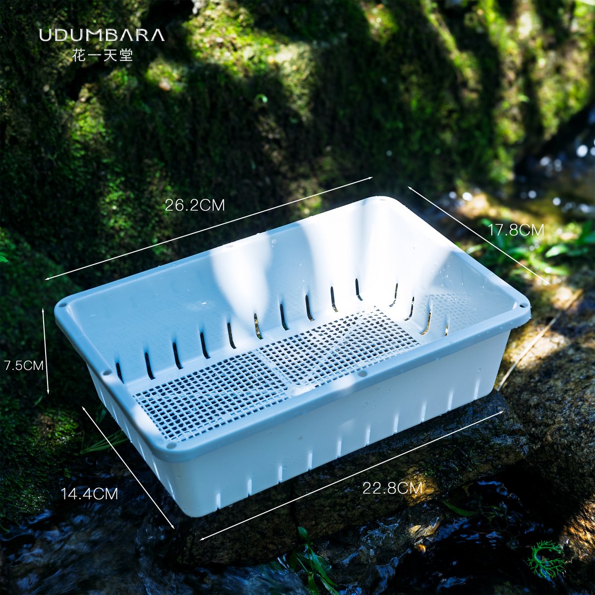 Nathaniel Smith tweet media