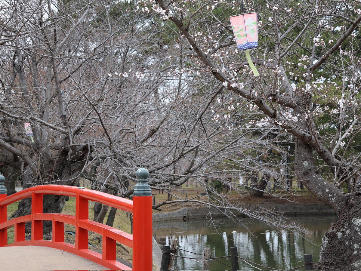 いけだ かつみ tweet media