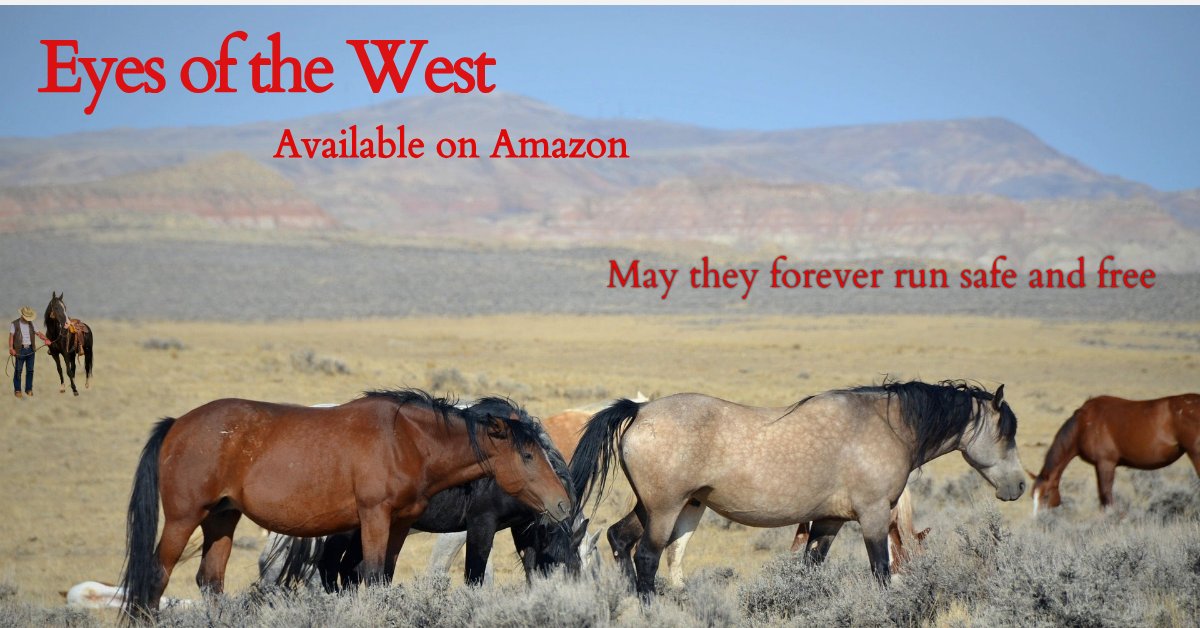 Mary Marelli tweet media