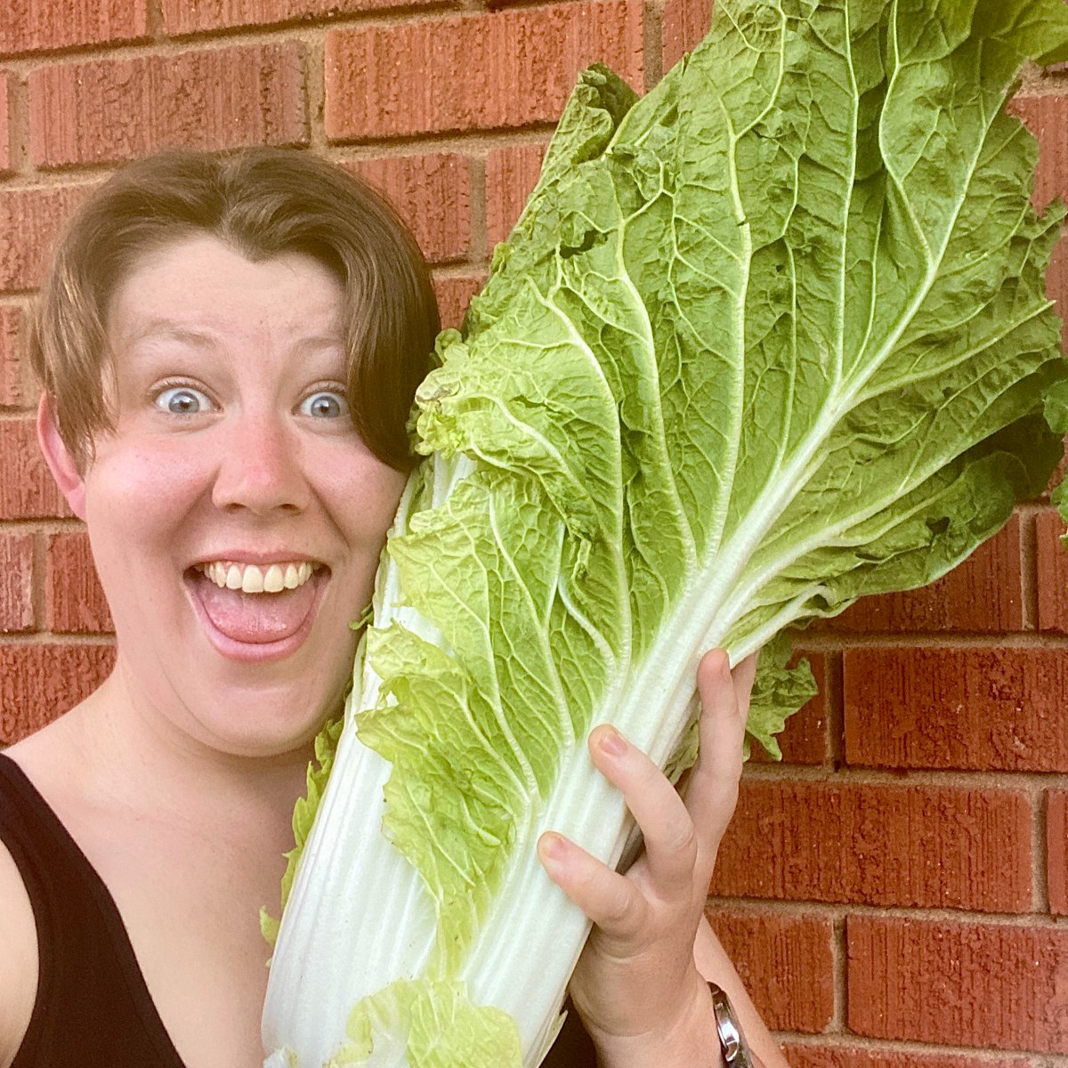 Monash University Publishing tweet media