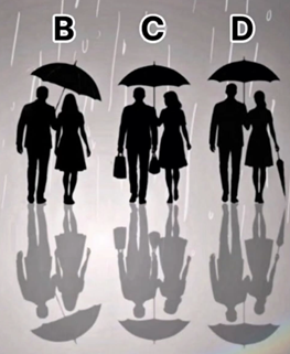 심테라고 해서 봣는데 왜이리 햄얼 깡윤 필또같지
B - 햄얼 자신이 조금 손해봐도 도욵이 젖게 할것 같진않음
C - 깡윤 검은 봉다리에 먹을거 들어잇을듯...
D - 필또 사랑은 가끔 비효율적인데 이 둘은 비효율을 즐길것같아서....