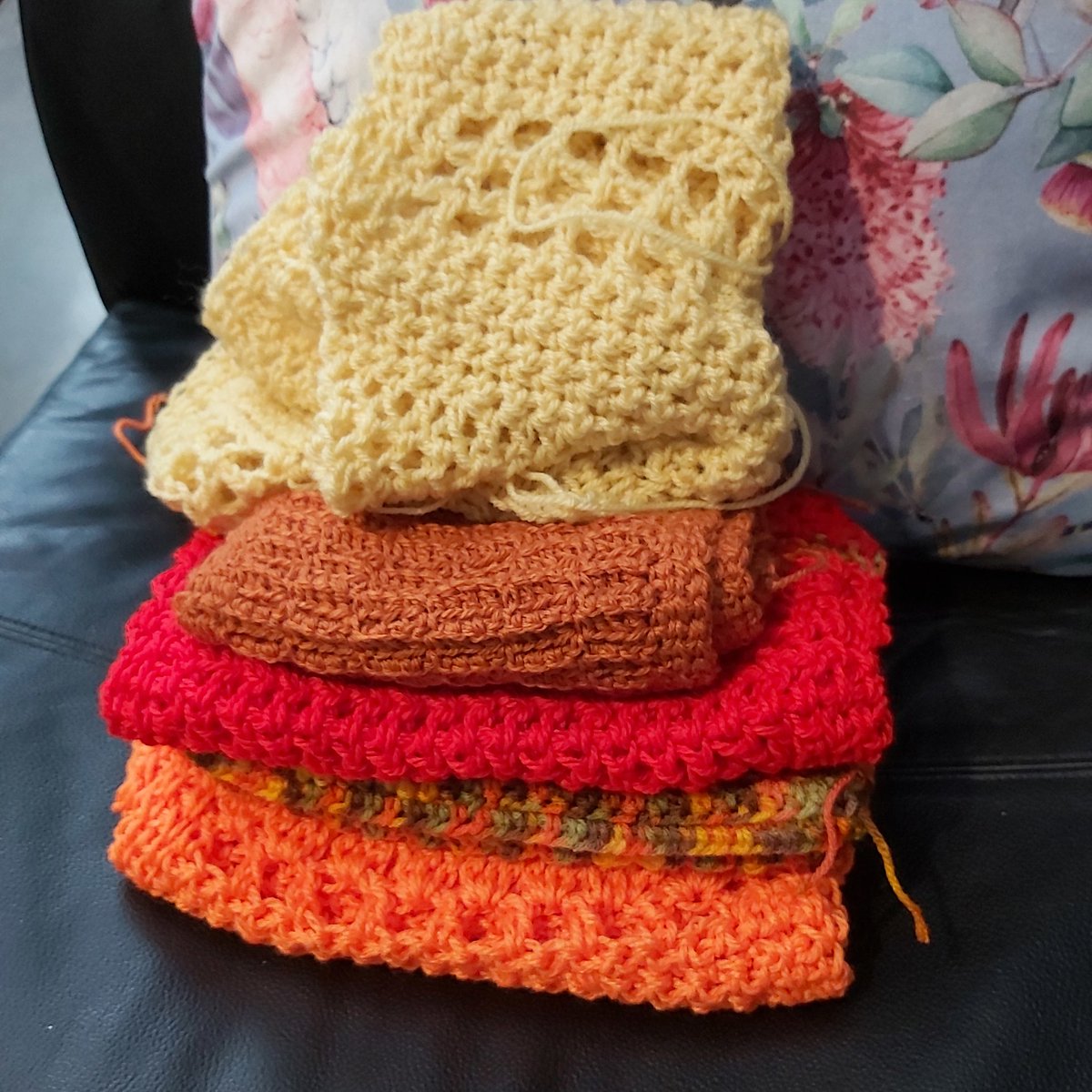 Dr Scott Rickard 📷 tweet media