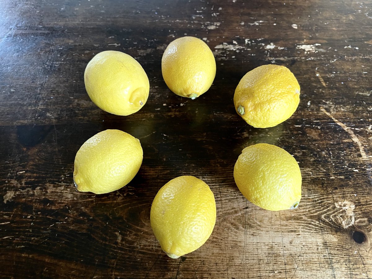 こだま和文 tweet media