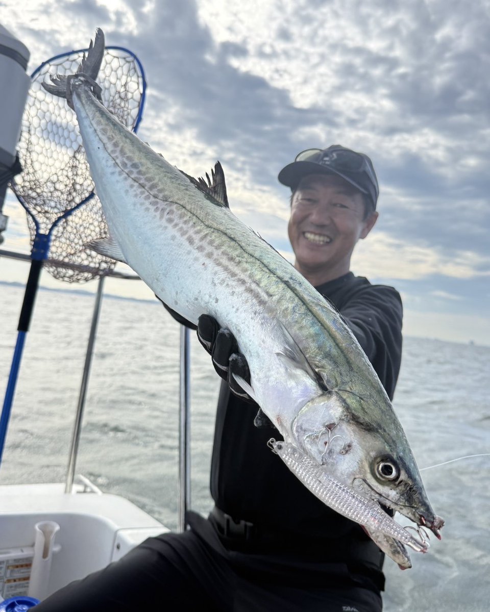 d_sw_shore's tweet photo. YouTube channel
DAIWA Salt Water Fishing 動画公開
[ボートサワラ] ジャークベイトで釣りたい東京湾のサワラゲーム
https://t.co/qFjjXy4oG1

東京湾ボートサワラゲームで実証。
ダイワの新製品「DジャークベイトSW」は、
✔ 重心移動システム搭載で圧倒的飛距離
✔ レーザーインパクトによる強烈なフラッシングと明滅
ジャーク時のフラッシングと食わせの間が、スレたフィッシュイーターの本能を刺激。高橋慶朗テスターがアクションのキモ、効果的な使い方、ターゲット別の攻略法まで徹底解説します。シーバス、サワラ攻略のニュースタンダードとなるか——実釣映像とともにご覧ください。

#DAIWA #DJERKBAITSW #CERTATEHD #ダイワ #DジャークベイトSW #セルテートHD #サワラ #ボートサワラ #サワラキャスティング #高橋慶朗 #ミッチー高橋