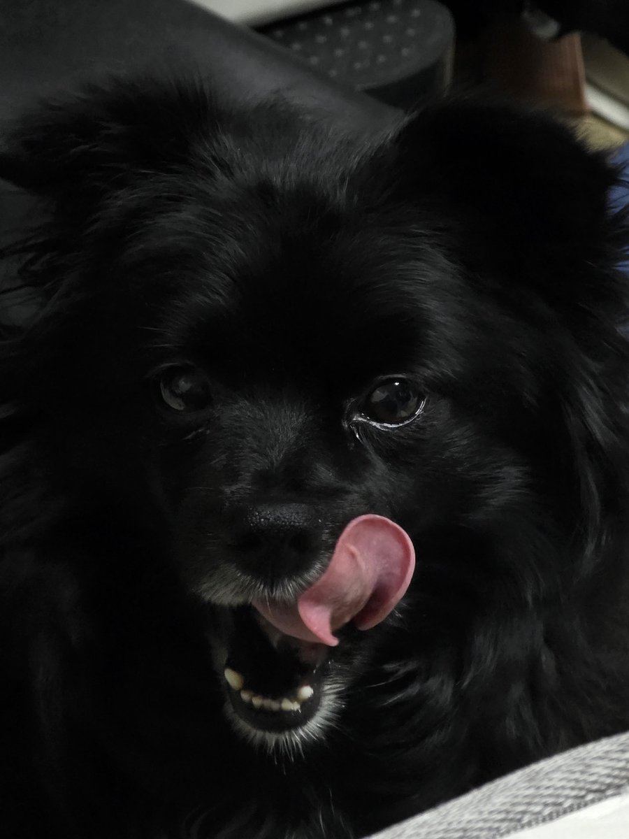 날름하는 사진 한 장을 찍기 위해 16장을 찍다