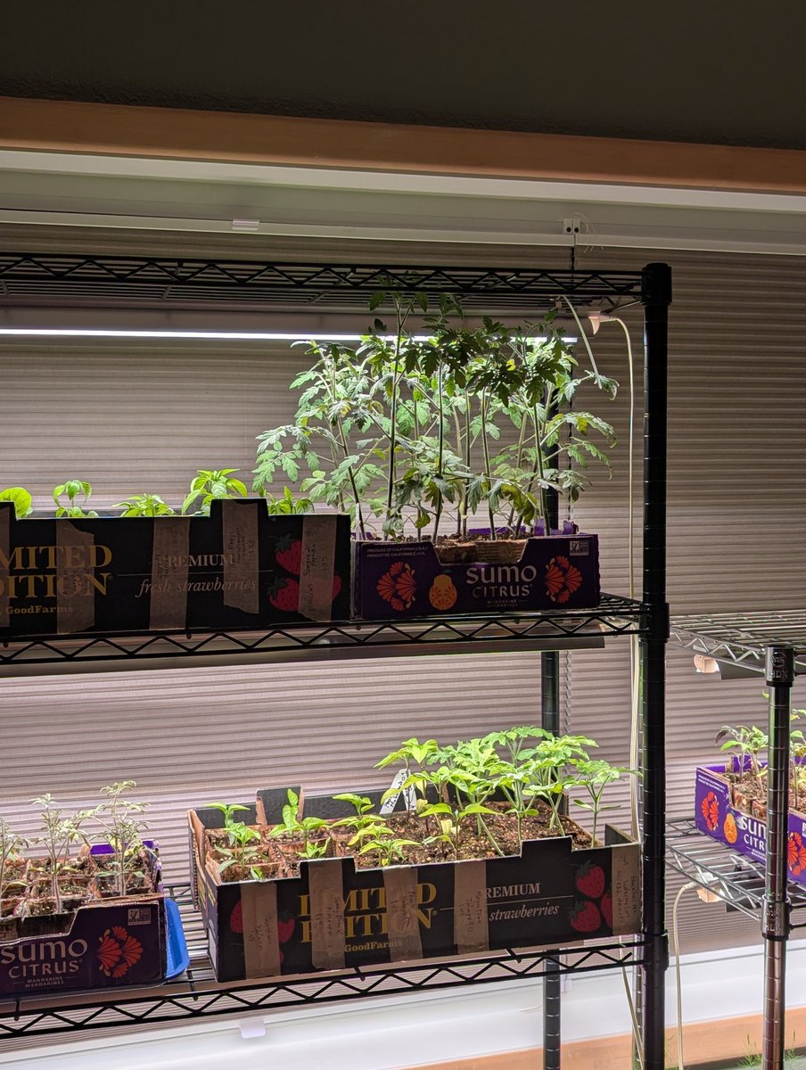 Rock Taster tweet media