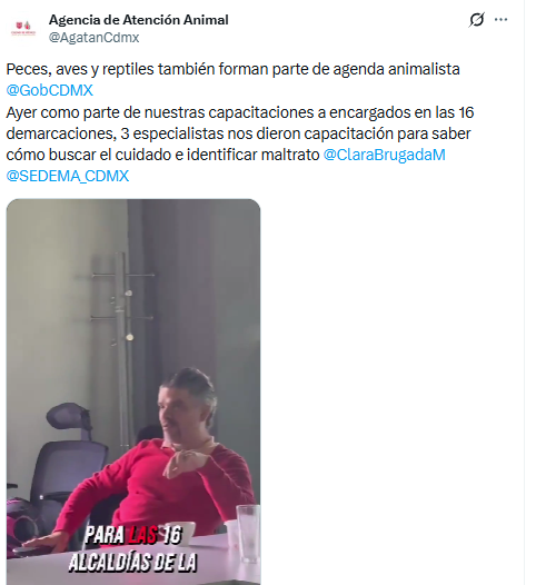 Lucía Hernández | Amo La Ciencia tweet media