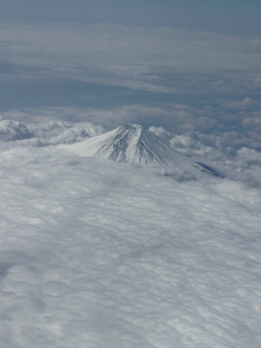 影木栄貴 tweet media