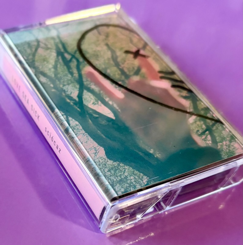 沿道嬰児 tweet media