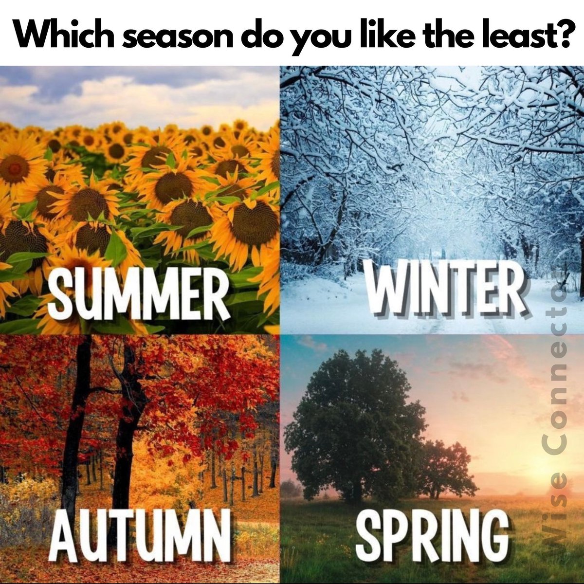 Ｗ 𝗜 𝗦 𝗘 𝗖 𝗢 𝗡 𝗡 𝗘 𝗖 𝗧 𝗢 𝗥 ™ 💬 tweet media