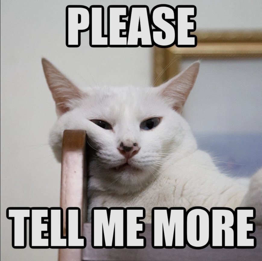 محمد فرحان tweet media