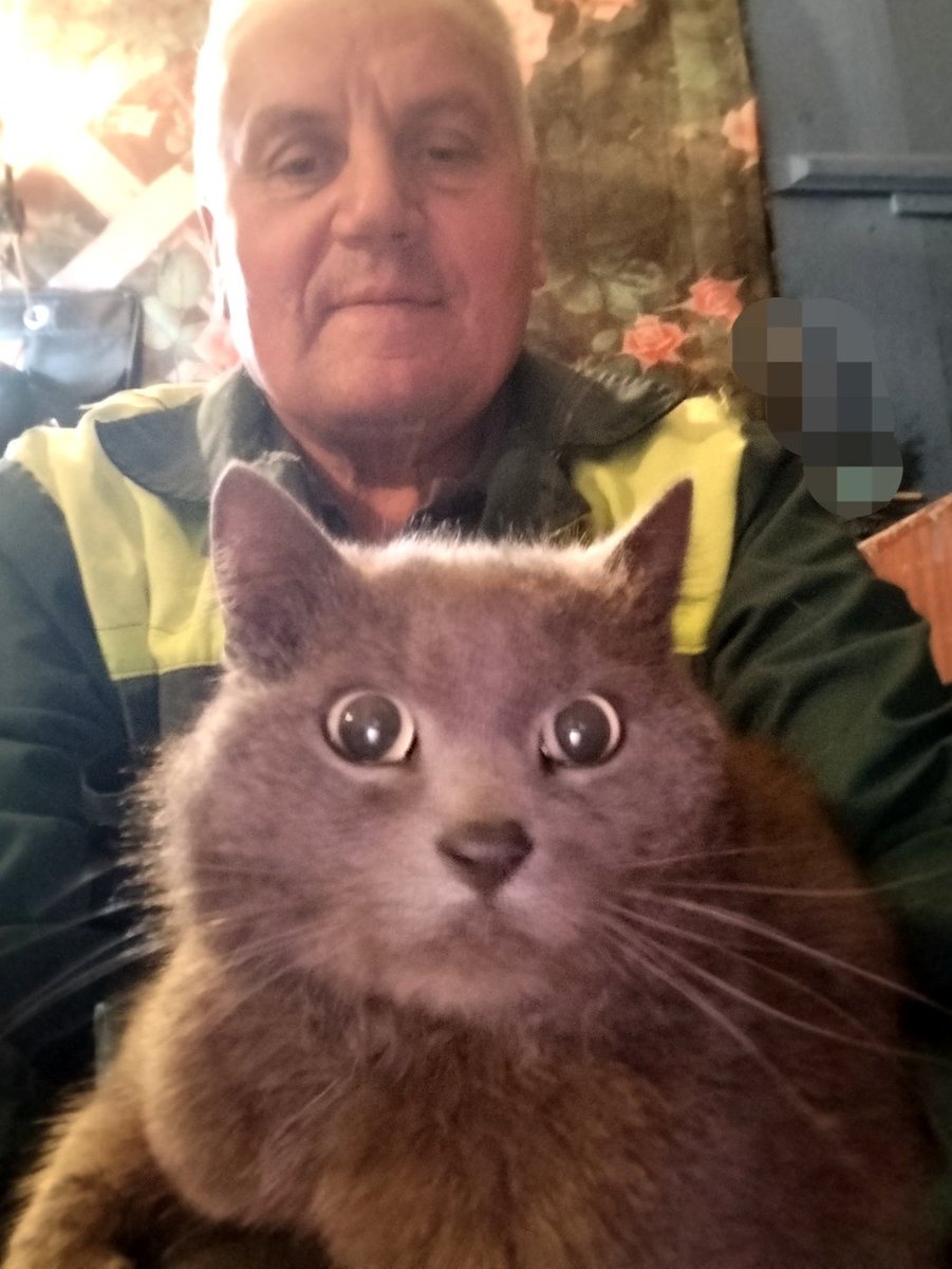 Кот Шурик из Беловежской пущи и его большая семья tweet media