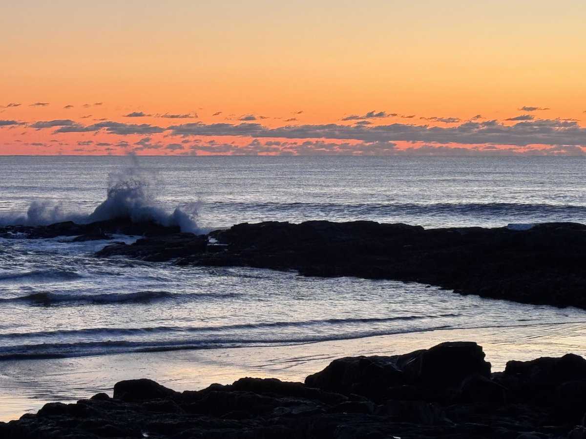 Realtor Rick 💙 tweet media