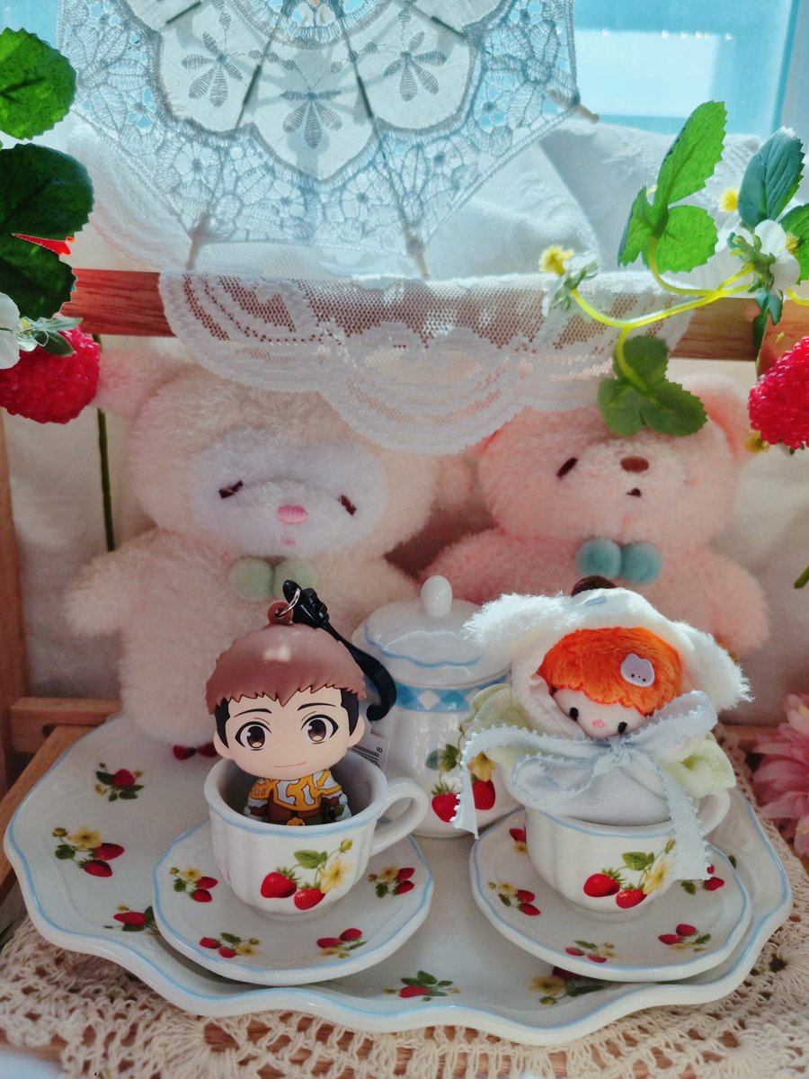 🌸영월🌸 tweet media