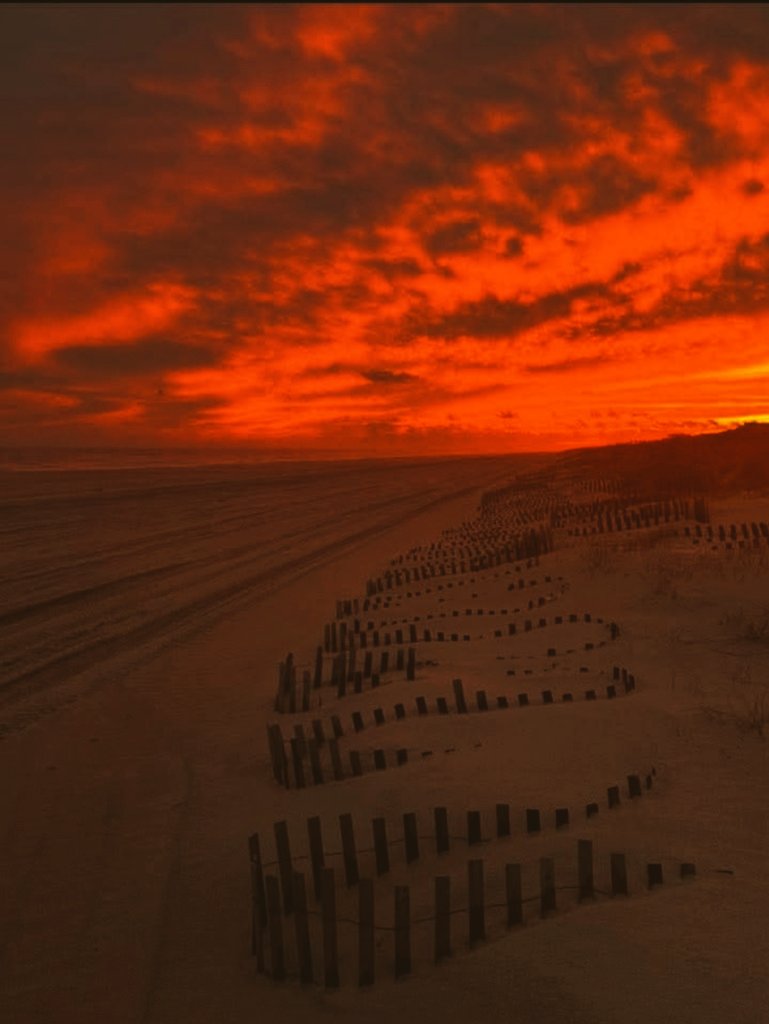 𝙰𝚕𝚒✨𝙲𝚊𝚝𝚝𝚝 💋🐈‍⬛🖤 tweet media