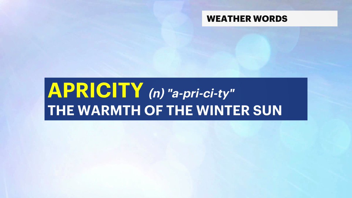 Mike Rizzo tweet media