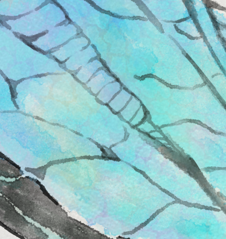 WIP
Details