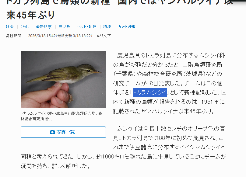 Donuttcrypto tweet media