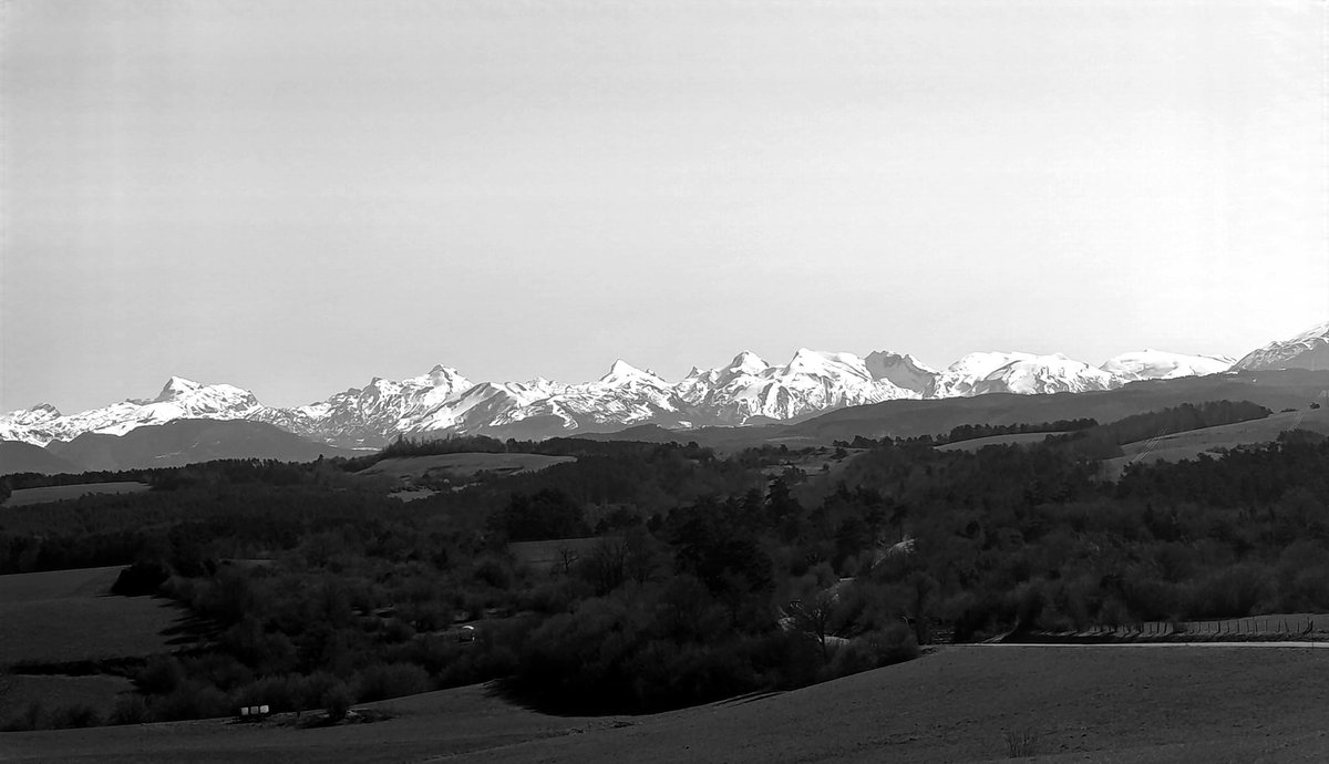 urkiolamendi 🍉 tweet media