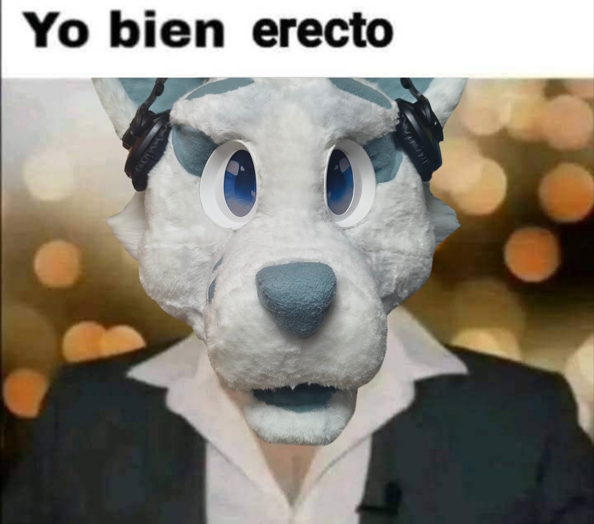 Ploccis (16+) tweet media