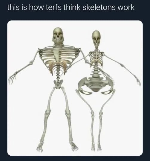 WillowTheFoxΘΔ🏳️‍⚧️🐾Pawbz are cute!🐾 tweet media