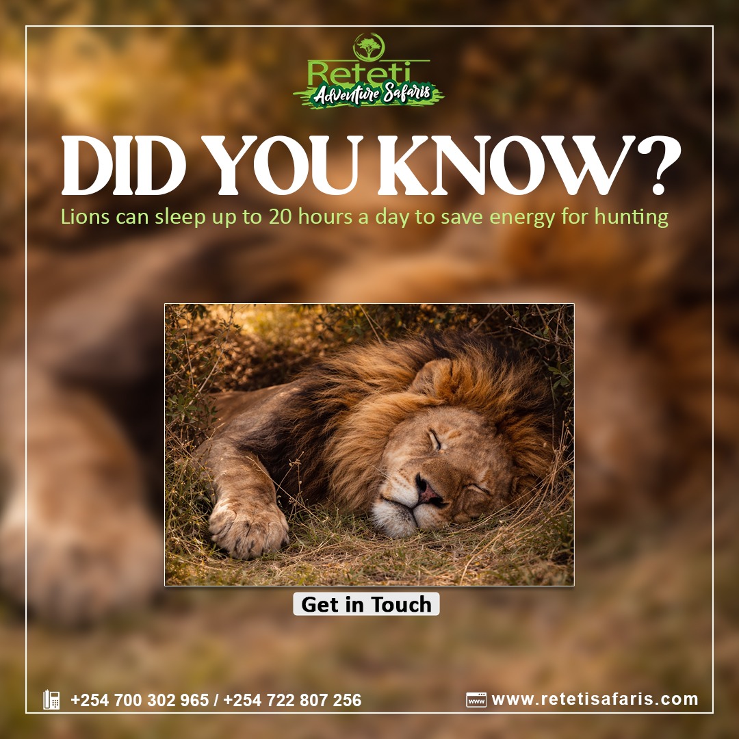 Reteti Adventure Safaris Ltd tweet media