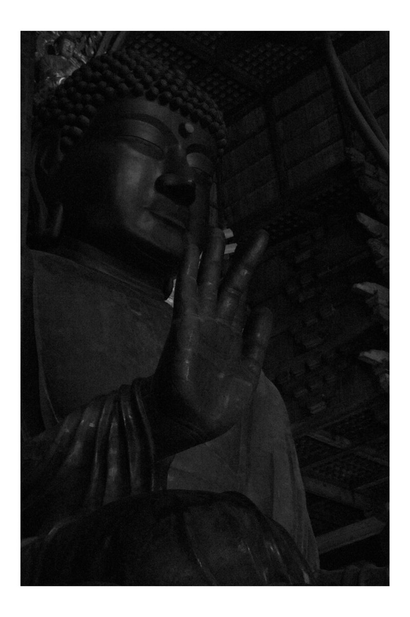 さち@写真垢 tweet media