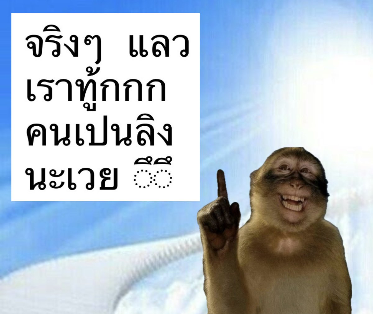 ชาวี tweet media