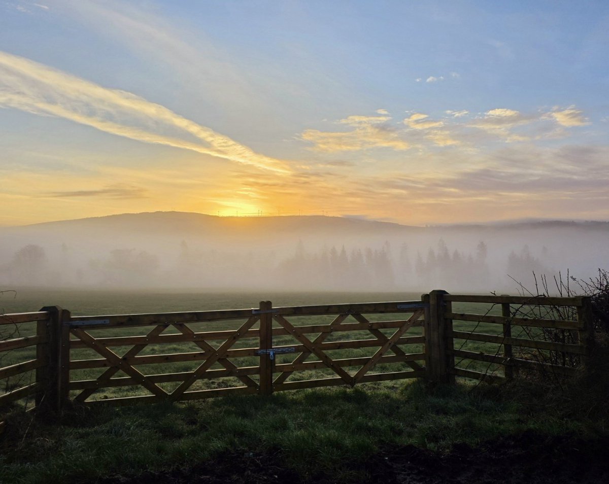 Cara Coll Photography tweet media