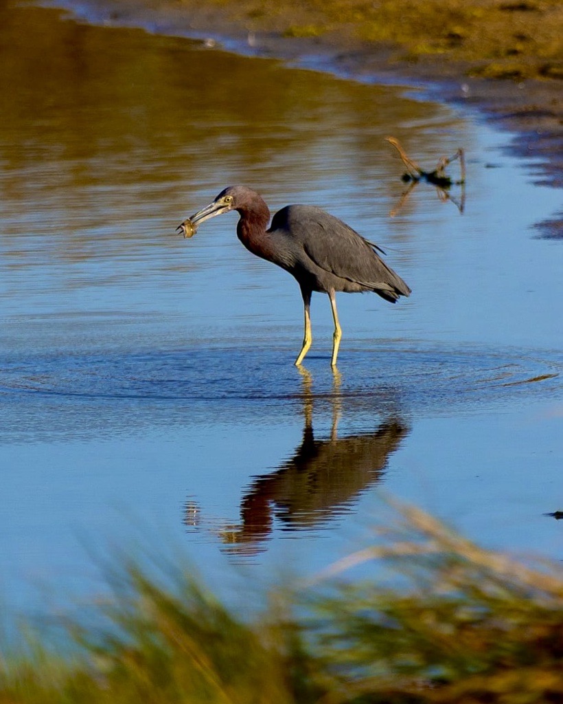 Manatee County Government tweet media