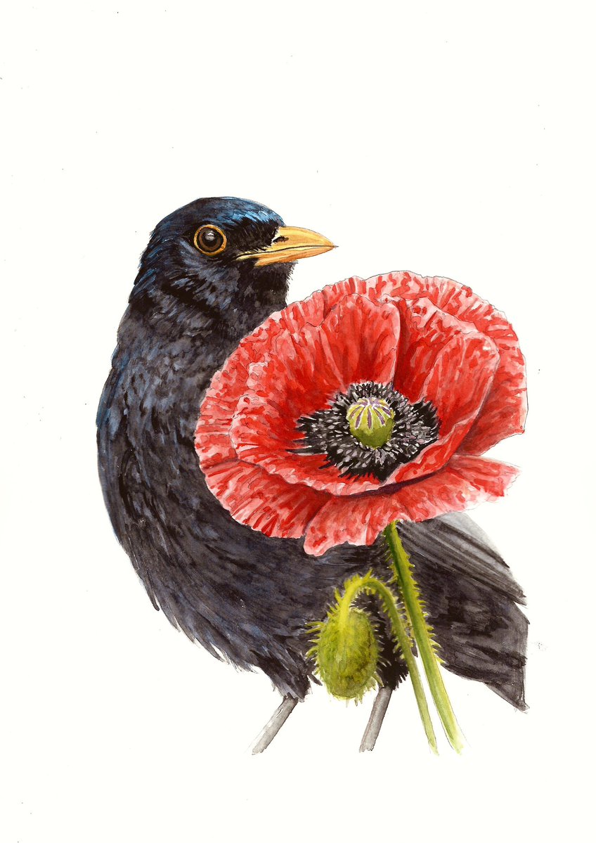 Bas Geeraets 🦉 tweet media