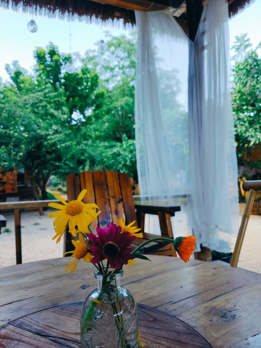 Taylor Z tweet media