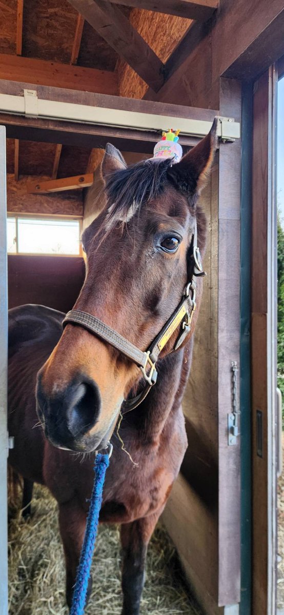 Yogiboヴェルサイユリゾートファーム tweet media