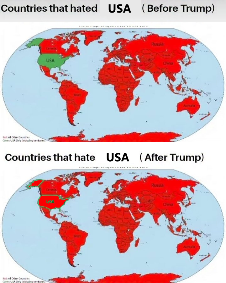 TacoGato tweet media