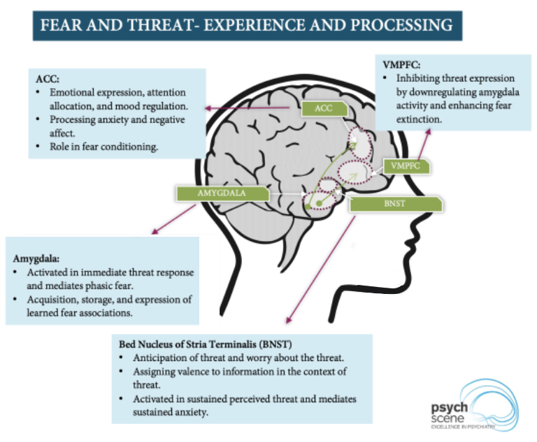 Psychiatry Excellence tweet media